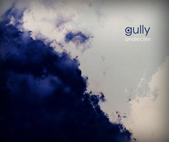 Gully