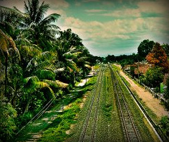 Tony Ariawan