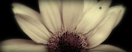 Featured Photography: Caitlin