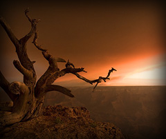 Featured Photography: Andrew Hefter
