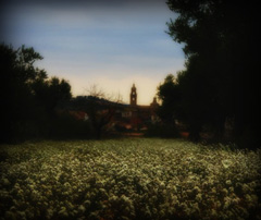 Featured Photography: Javier Pardina