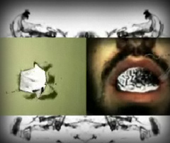 Featured Art Video: Dade