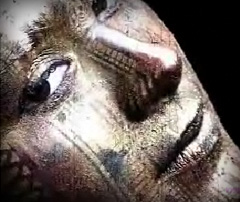 Featured Music Video: Tim Engle