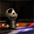Featured Art Video: Fablo