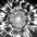 Featured Art Video: Actias Luna