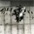 Featured Art Video: Pessimistic