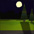 Featured Art Video: Plaid - Bo Bootch
