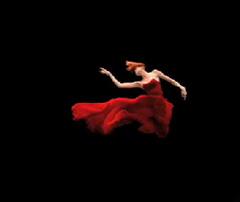 Featured Art Video: Brizo ~ Brand