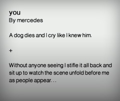 Featured Writer: mercedes