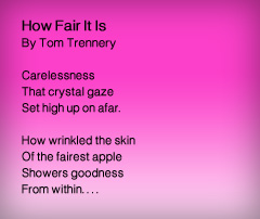 Featured Writer: Tom Trennery